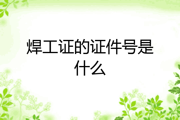 焊工证的证件号是什么