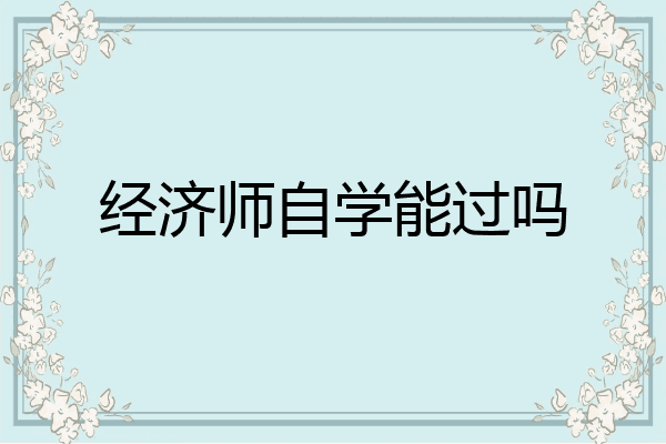 经济师自学能过吗