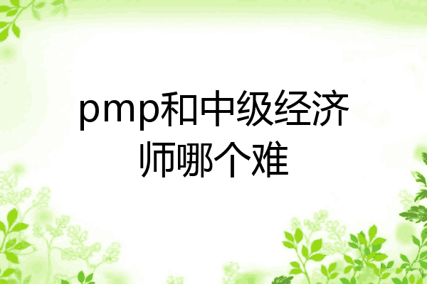 pmp和中级经济师哪个难