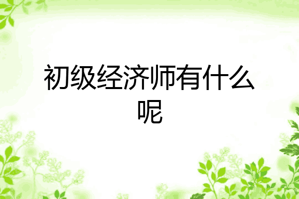 初级经济师有什么呢