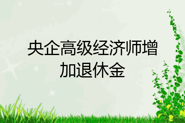 央企高级经济师增加退休金