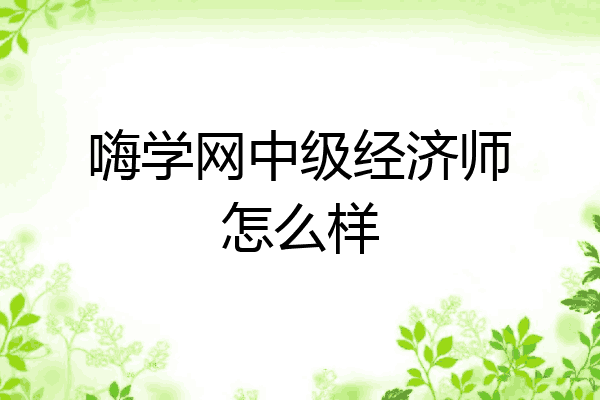 嗨学网中级经济师怎么样