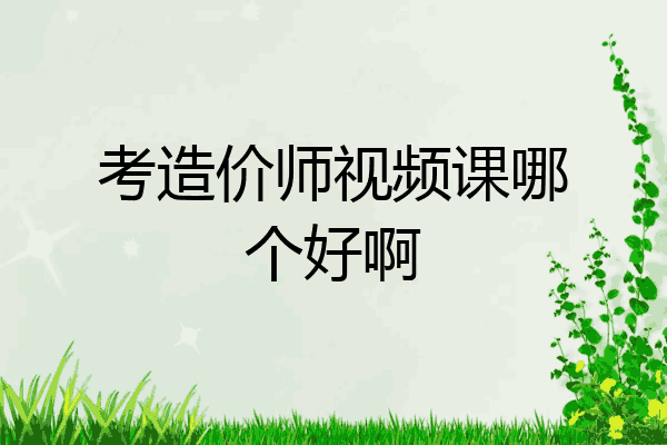 考造价师视频课哪个好啊