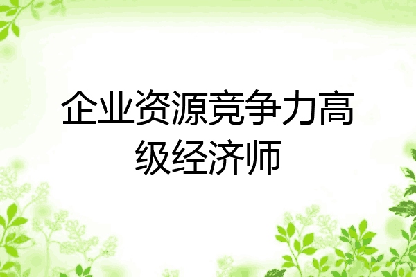 企业资源竞争力高级经济师