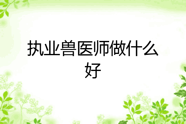 执业兽医师做什么好