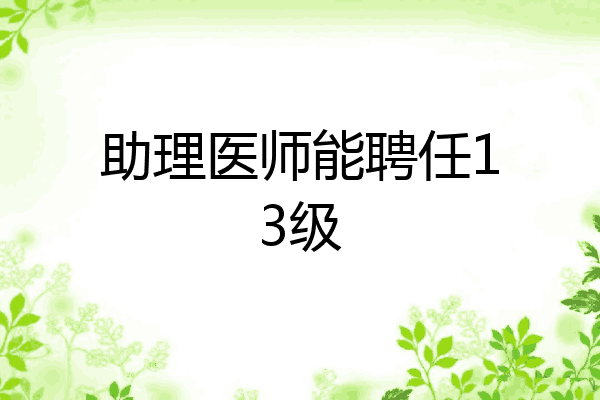 助理医师能聘任13级
