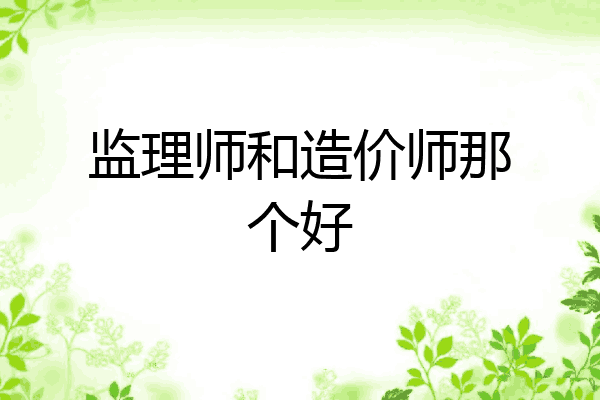 监理师和造价师那个好