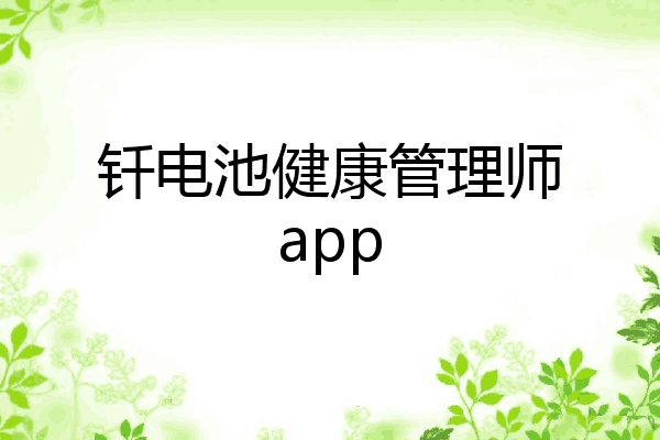 钎电池健康管理师app