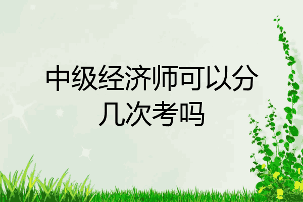 中级经济师可以分几次考吗