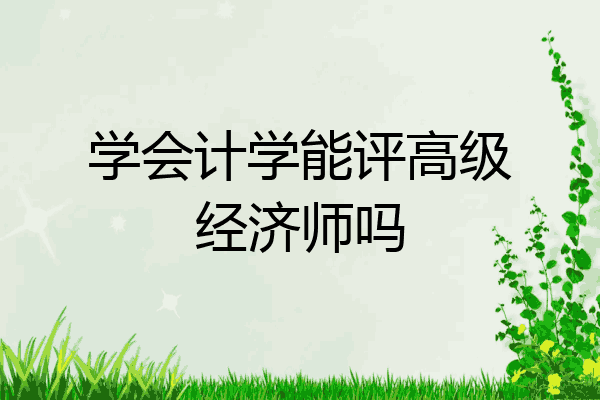 学会计学能评高级经济师吗