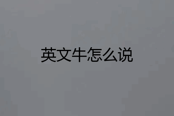 英文牛怎么说
