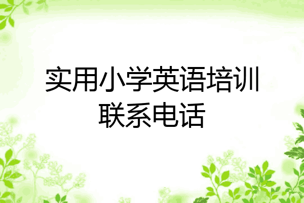 实用小学英语培训联系电话