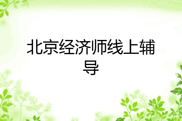 北京经济师线上辅导
