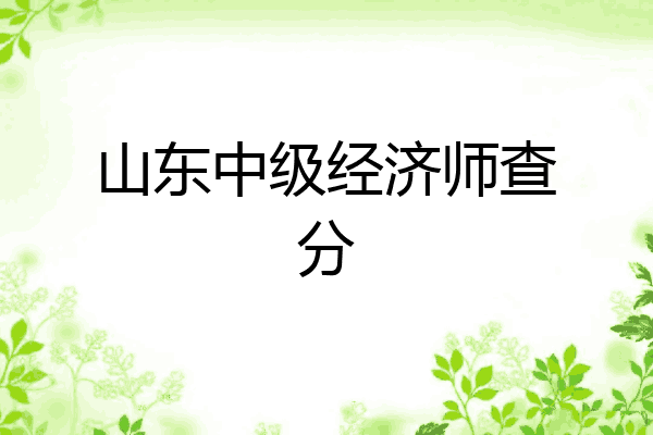 山东中级经济师查分
