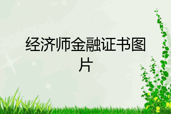 经济师金融证书图片