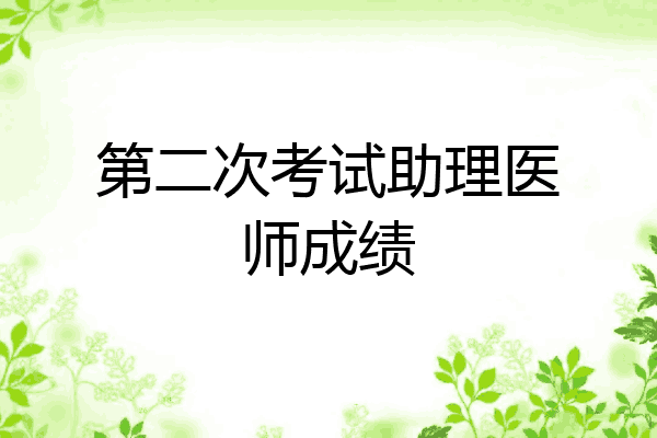 第二次考试助理医师成绩