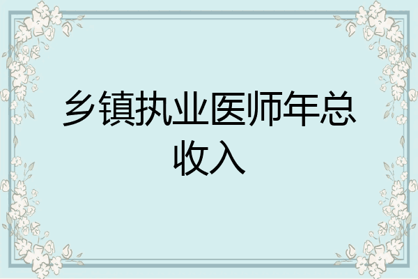 乡镇执业医师年总收入