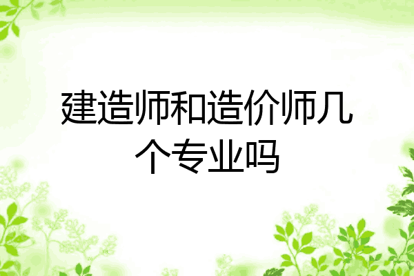 建造师和造价师几个专业吗
