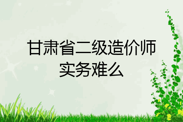 甘肃省二级造价师实务难么