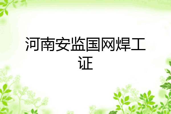 河南安监国网焊工证