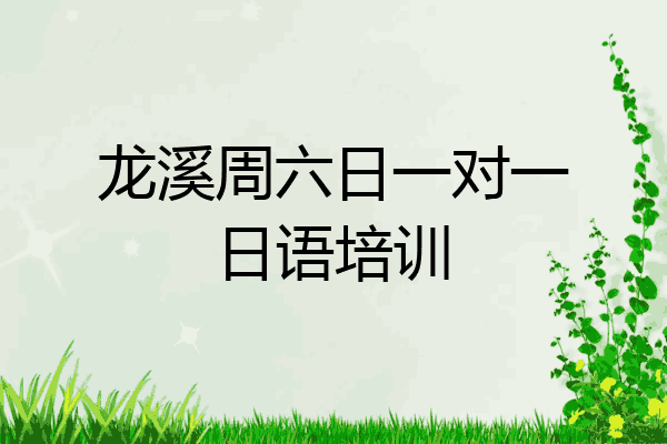 龙溪周六日一对一日语培训