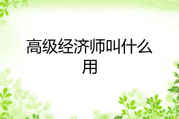 高级经济师叫什么用