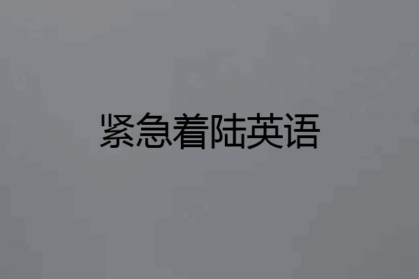 紧急着陆英语