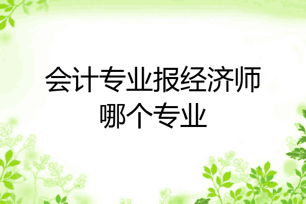 会计专业报经济师哪个专业