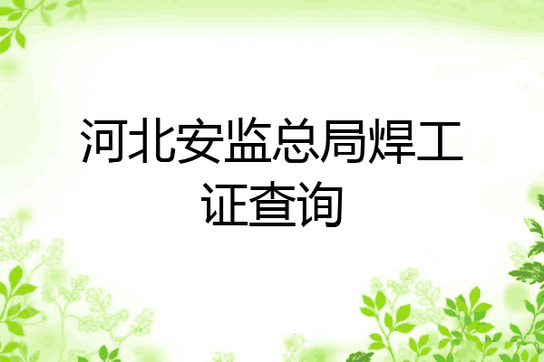 河北安监总局焊工证查询