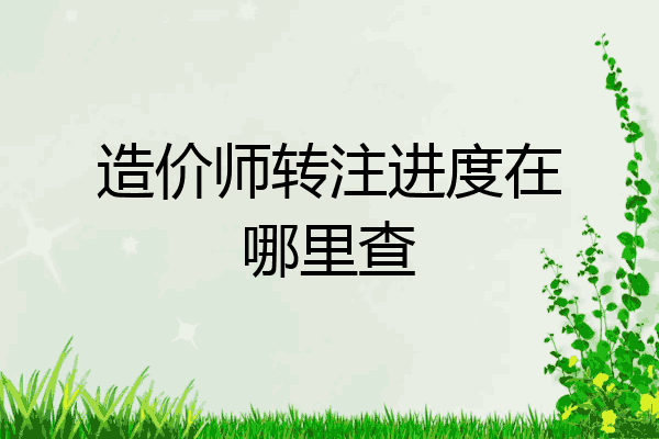 造价师转注进度在哪里查