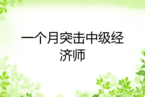 一个月突击中级经济师