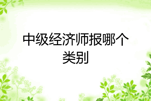 中级经济师报哪个类别