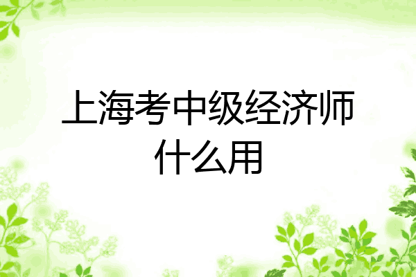 上海考中级经济师什么用