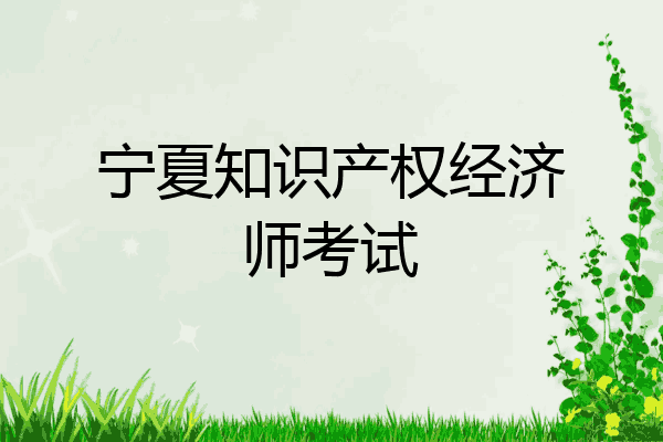 宁夏知识产权经济师考试