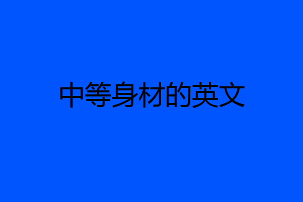 中等身材的英文