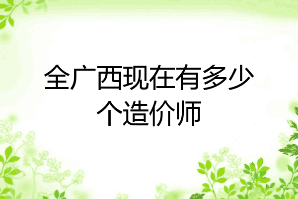 全广西现在有多少个造价师