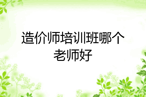 造价师培训班哪个老师好
