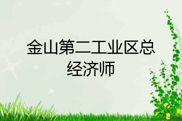 金山第二工业区总经济师