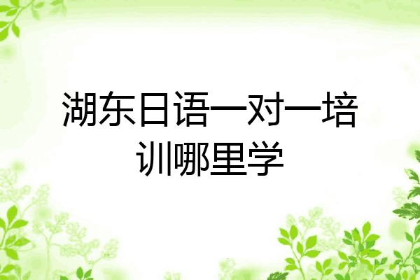 湖东日语一对一培训哪里学