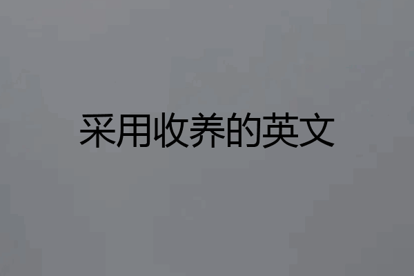 采用收养的英文