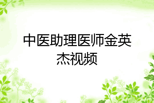 中医助理医师金英杰视频