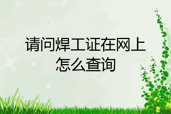 请问焊工证在网上怎么查询
