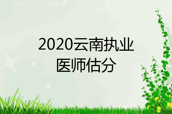 2020云南执业医师估分