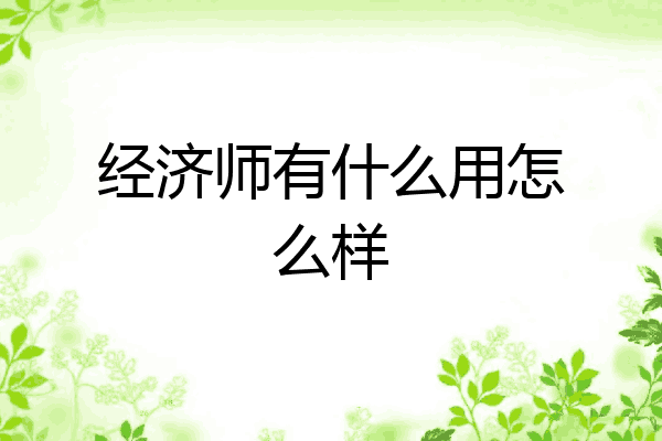 经济师有什么用怎么样