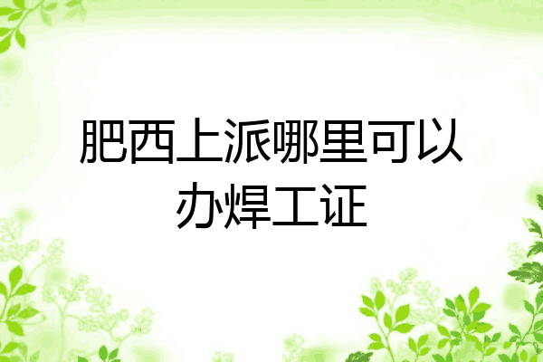 肥西上派哪里可以办焊工证