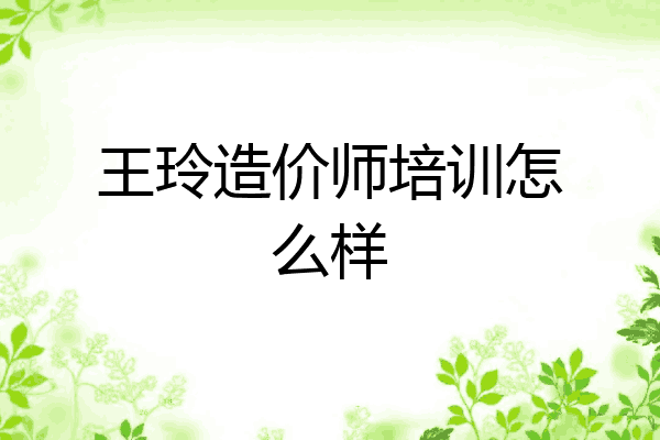 王玲造价师培训怎么样