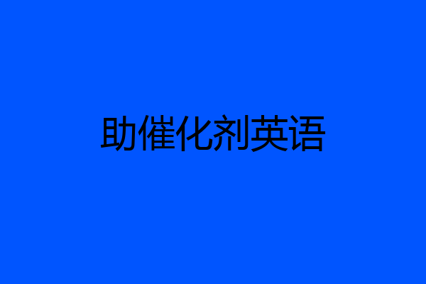 助催化剂英语