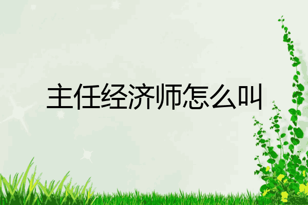 主任经济师怎么叫