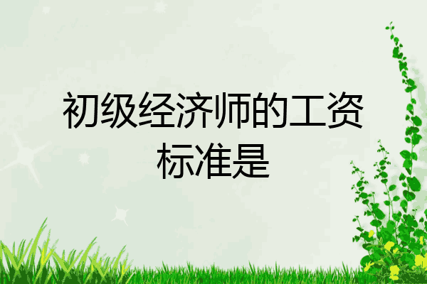 初级经济师的工资标准是