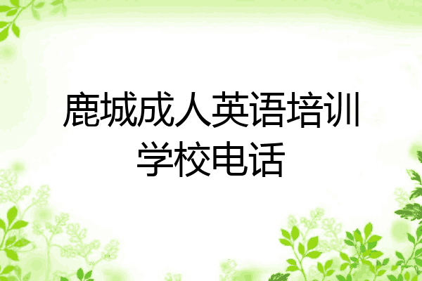 鹿城成人英语培训学校电话